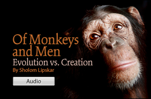 Of Monkeys and Men – Evolution vs. Creation