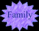 Family Workshops