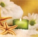 Spa for the Soul